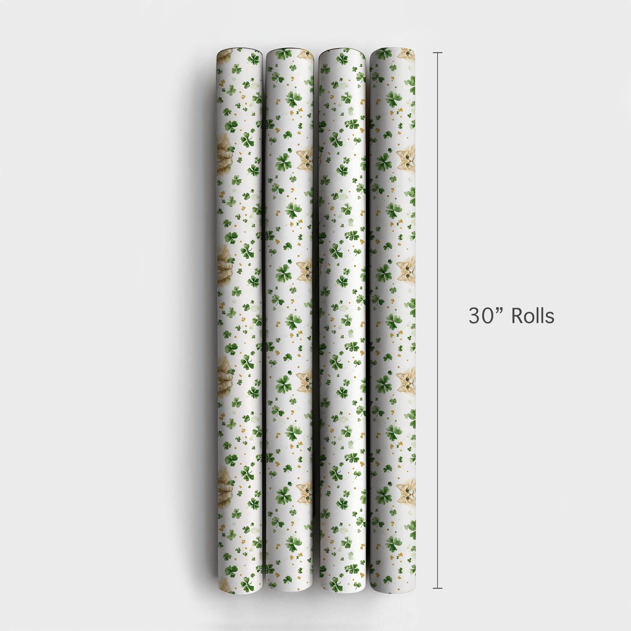 Product 4