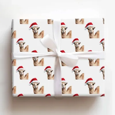 Christmas Camel - Gift Wrap for Christmas, Holidays Wrapping Paper, Christmas Wrapping Paper