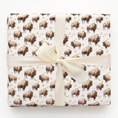Open Sky Pass - Gift Wrap for Christmas, Holidays Wrapping Paper, Christmas Wrapping Paper