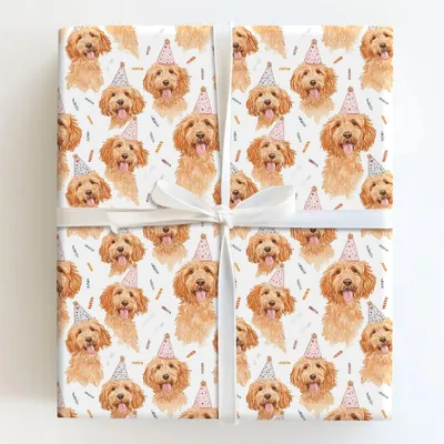 Curly Cues - Gift Wrap for Christmas, Holidays Wrapping Paper, Christmas Wrapping Paper