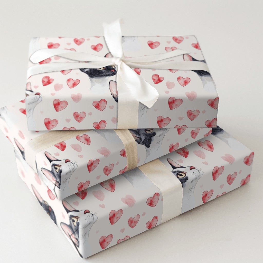 Product 5