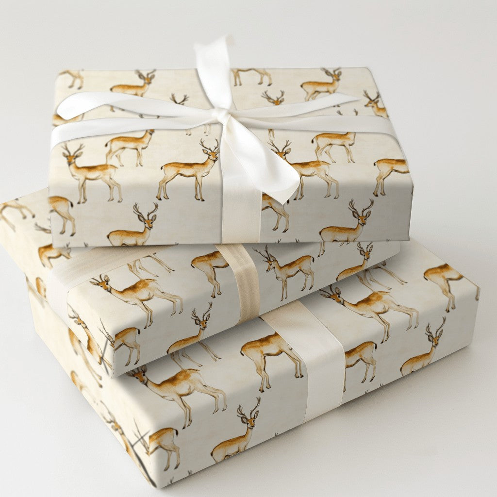 Product 5