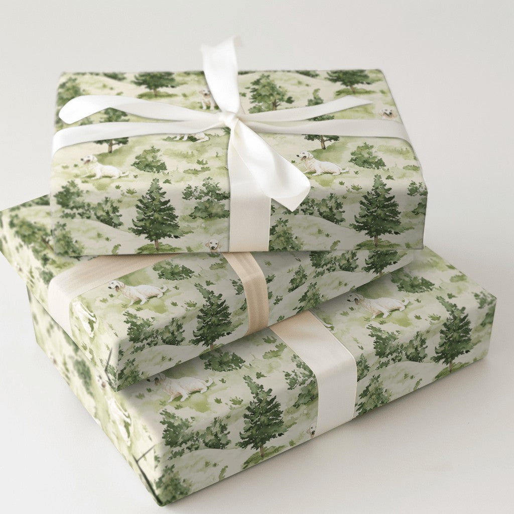 Product 5