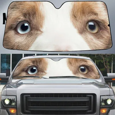 Cool Border Collie's Eyes Beautiful Dog Eyes Car Sun Shade Cover Auto Windshield