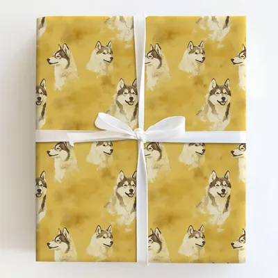Go Husky Gold - Gift Wrap for Christmas, Holidays Wrapping Paper, Christmas Wrapping Paper