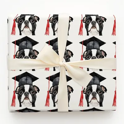 Boston Terrier Graduate - Gift Wrap for Christmas, Holidays Wrapping Paper, Christmas Wrapping Paper