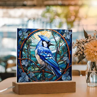 Blue Jay Faux Stained Glass Acrylic Plaque - A Gift For Bird Lover Decoration For Bird Watcher Gifts - Acrylic Square Plaque