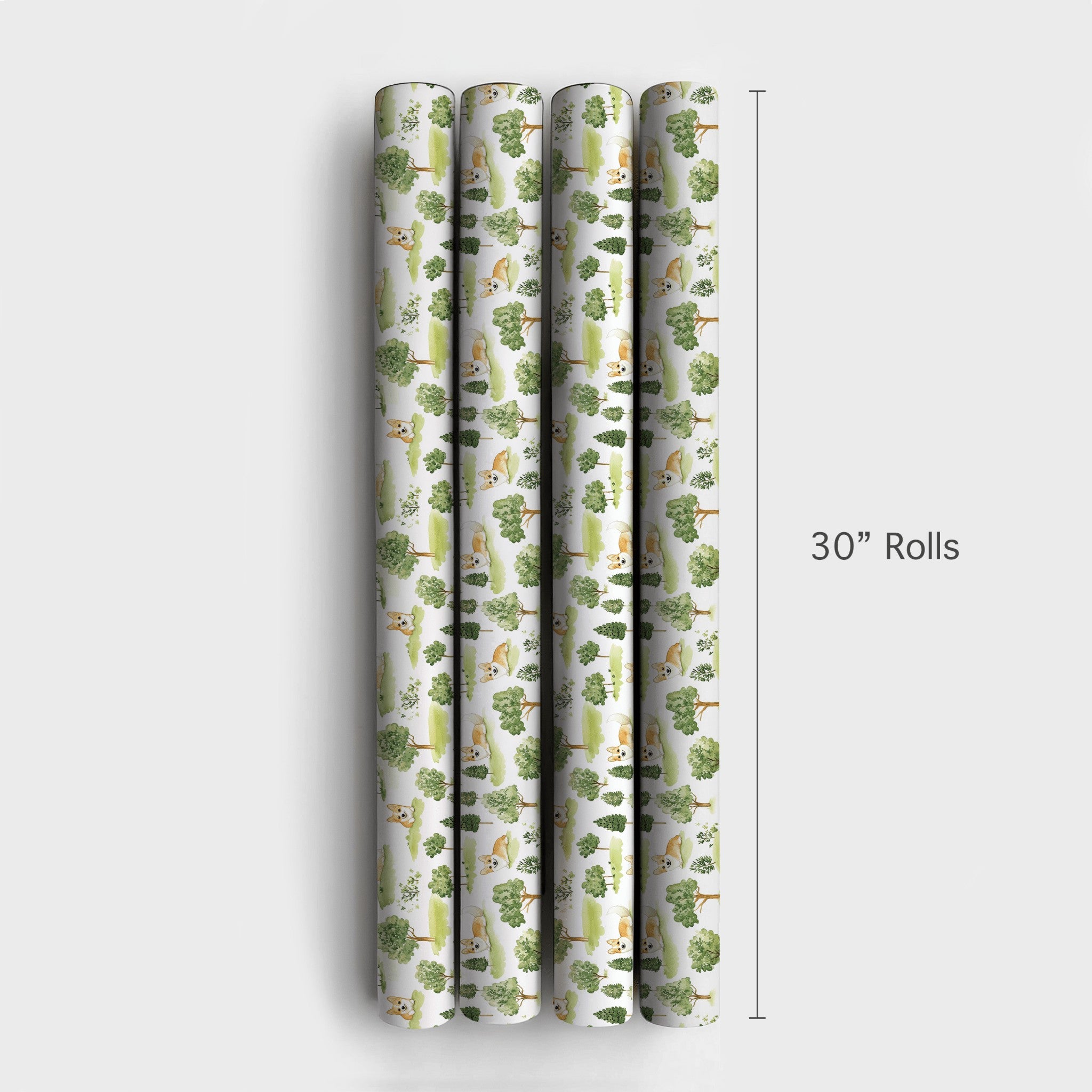 Product 4