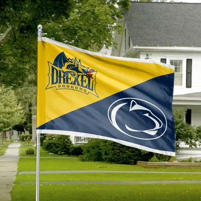 Blue And Yellow House Divided Flag, Dragon And Lion Inspired Design, Team Rivalry Style, Horizontal House Flag Horizontal House Flag