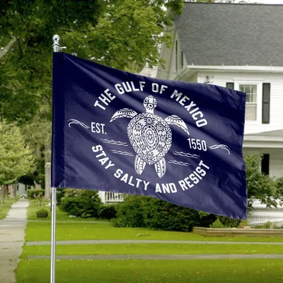 Gulf Of Mexico Sea Turtle American House Flag, Stay Salty And Resist Coastal Design Horizontal House Flag
