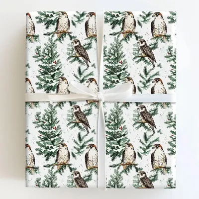 Falcon Festivity - Gift Wrap for Christmas, Holidays Wrapping Paper, Christmas Wrapping Paper