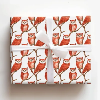 Staring Contest - Gift Wrap for Christmas, Holidays Wrapping Paper, Christmas Wrapping Paper