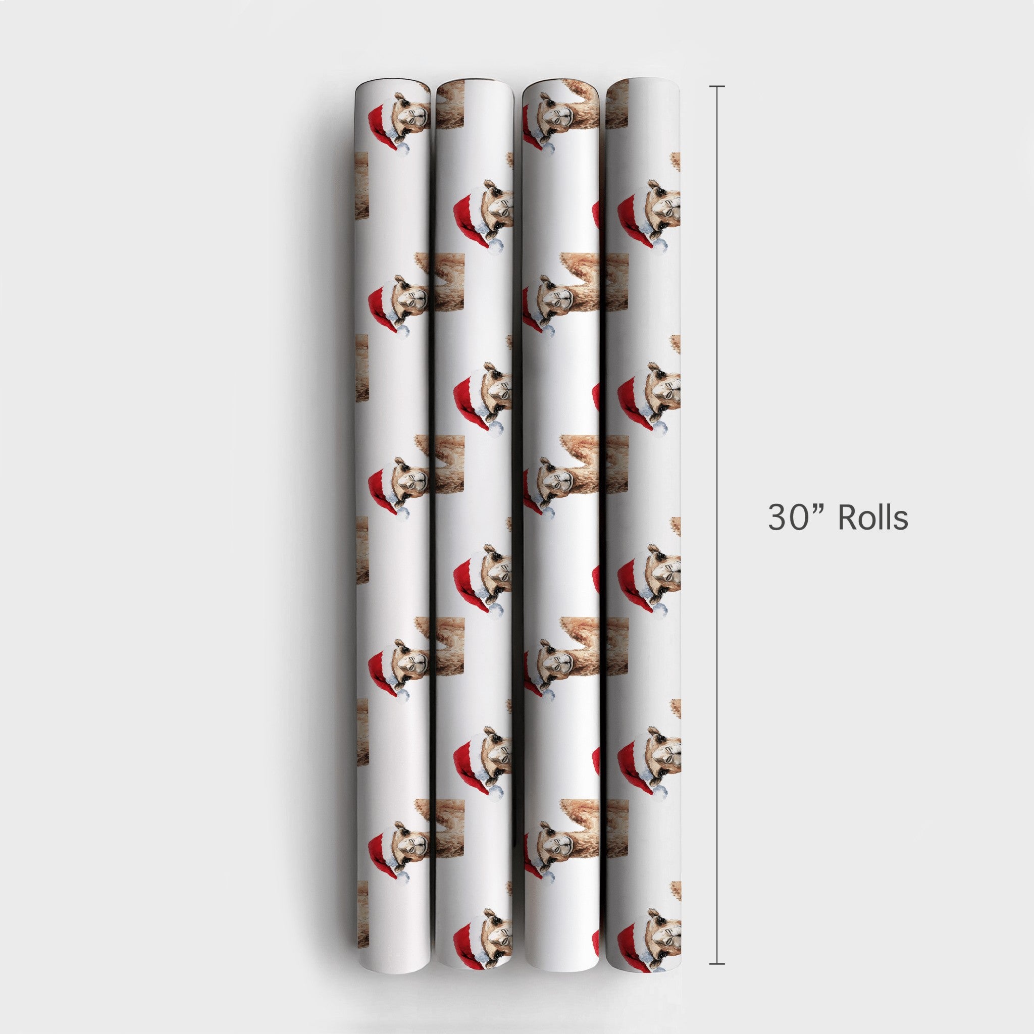 Product 6