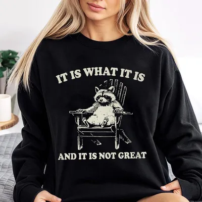 It Is What It Is And It Is Not Great Funny Raccoon Meme Sweatshirt,Retro Unisex Adult Sweatshirt,Meme Raccoon