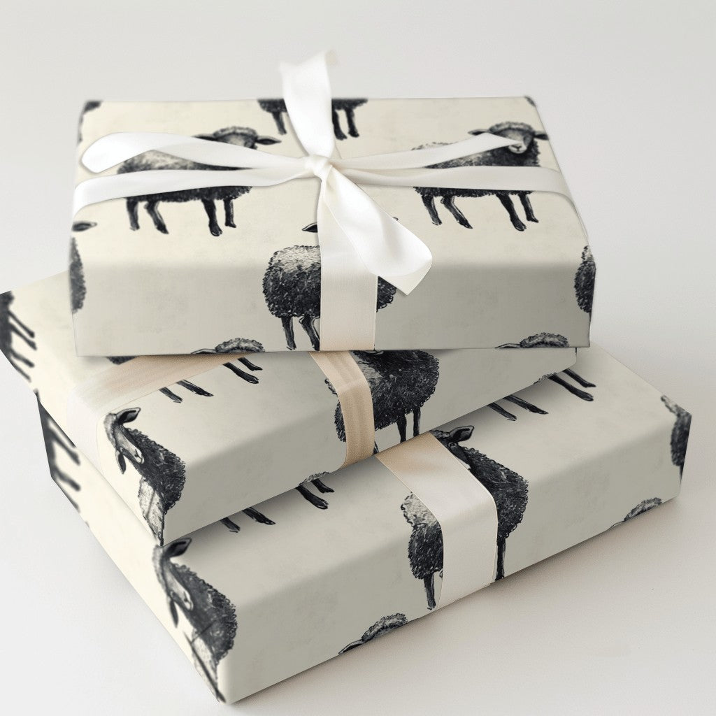 Product 5