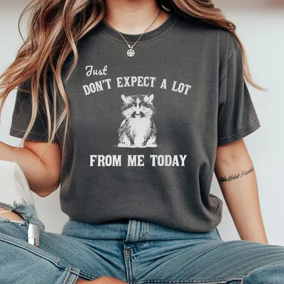 Don'T Expect A Lot From Me Today T-Shirt Funny Sarcastic Raccoon T-Shirt Retro Graphic T-Shirt Trendy Meme T-Shirt