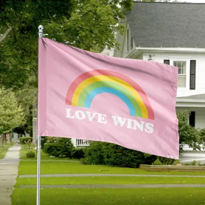 Love Wins Pastel Simple Rainbow Pink House Flag Cute Lgbtq+ Decor Horizontal House Flag