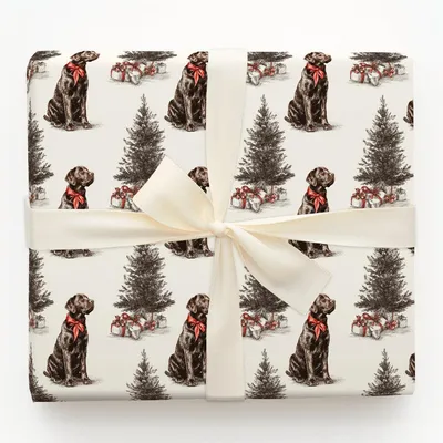 Holiday Lab - Gift Wrap for Christmas, Holidays Wrapping Paper, Christmas Wrapping Paper