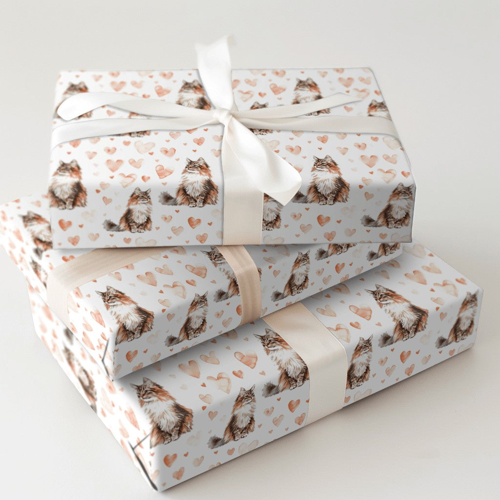 Product 5