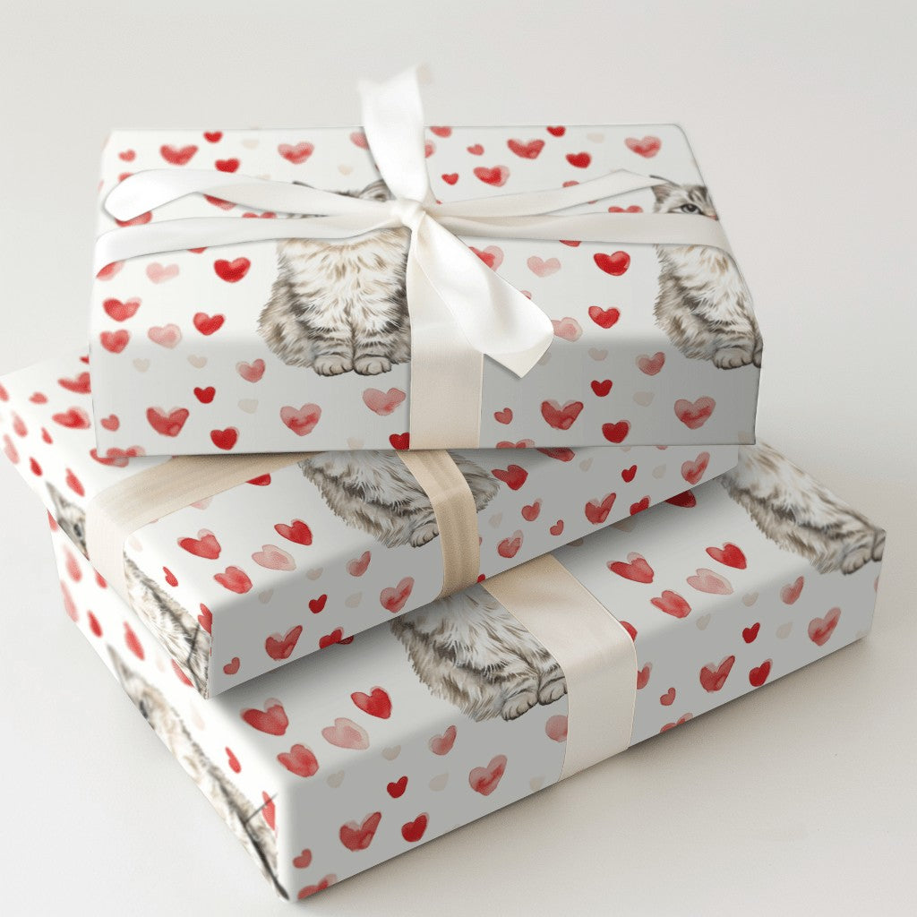 Product 5