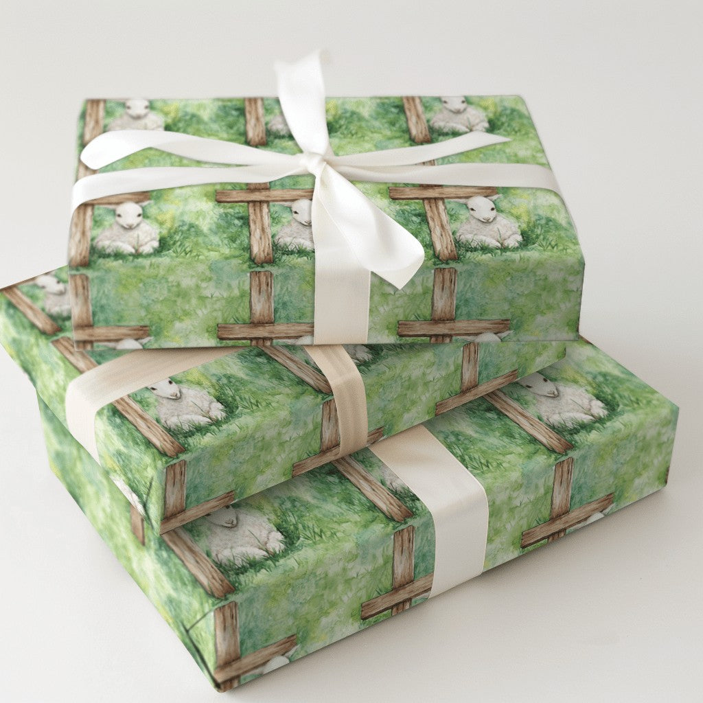 Product 5