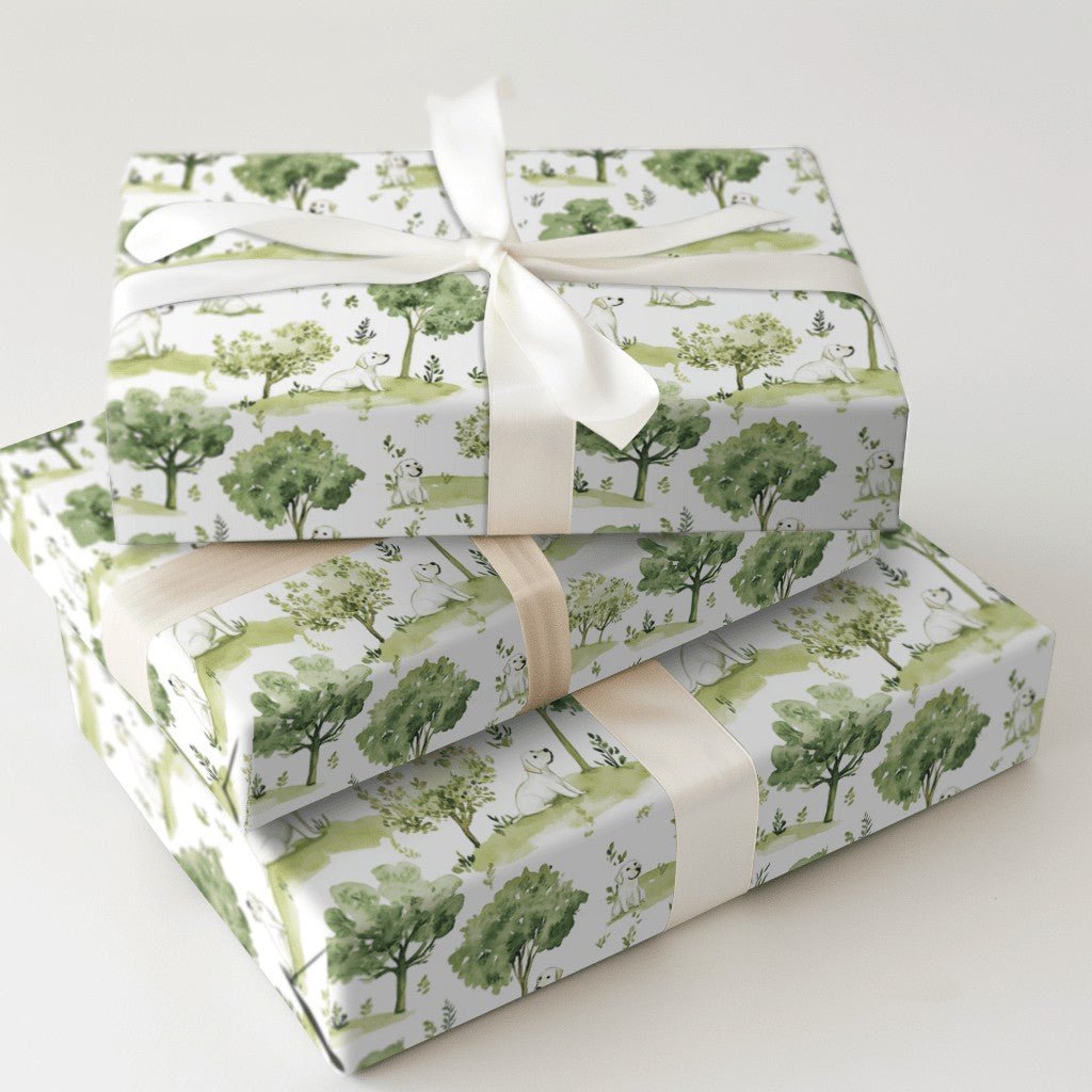 Product 5