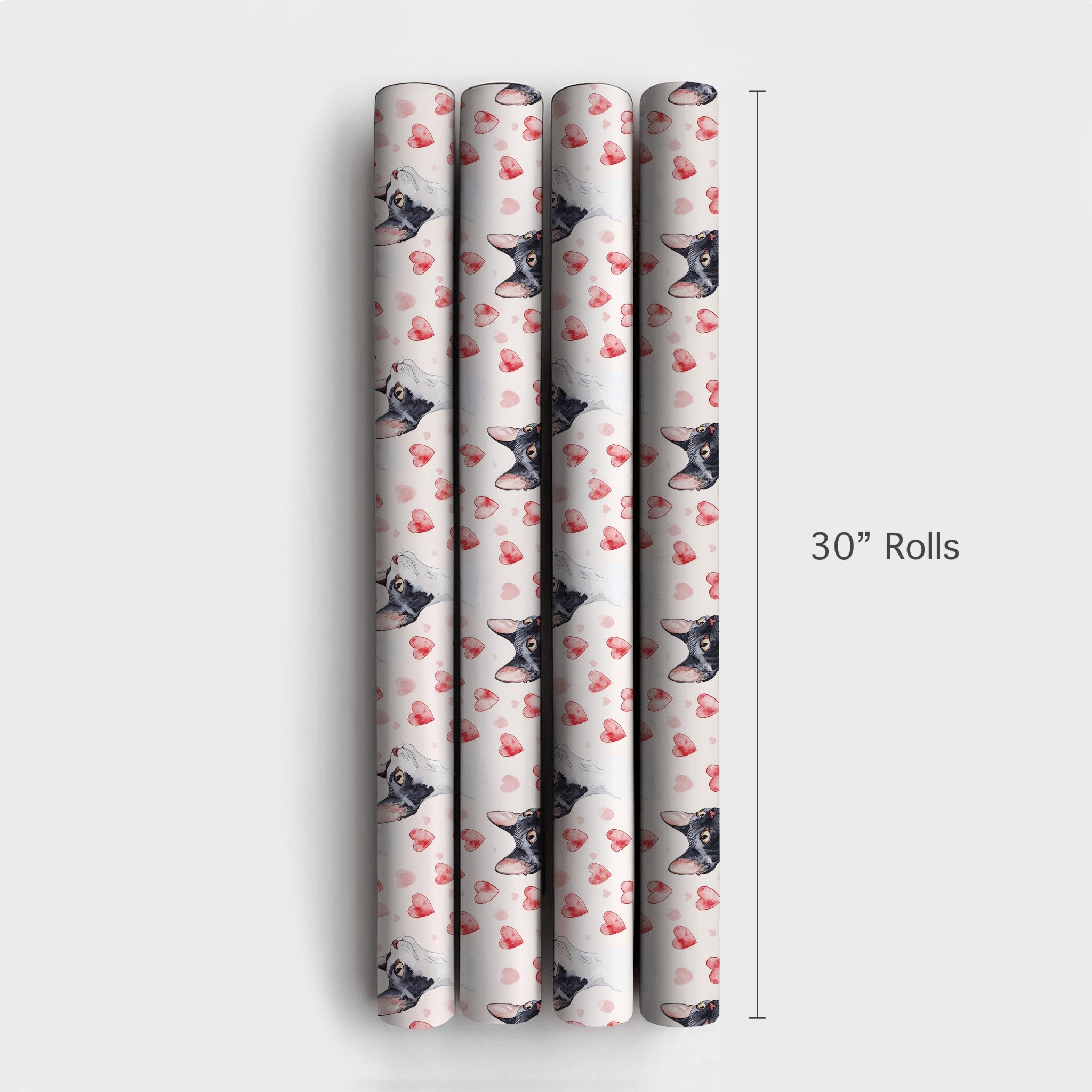 Product 4