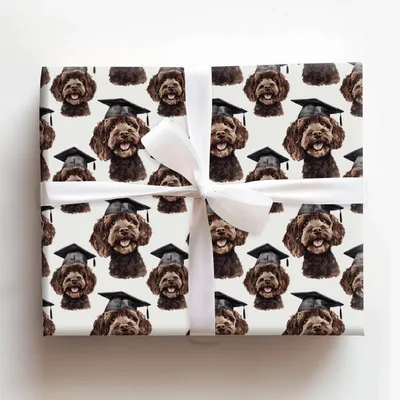 Cocoa Cum Laude - Gift Wrap for Christmas, Holidays Wrapping Paper, Christmas Wrapping Paper