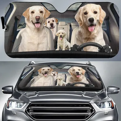 Labrador Family Driving Car Printed Car Sun Shade Cover Auto Windshield PrintSyde