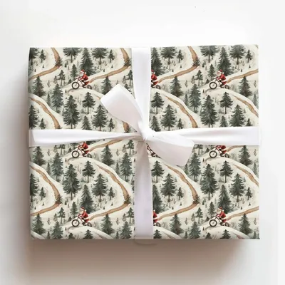 Coler Park in the Winter - Gift Wrap for Christmas, Holidays Wrapping Paper, Christmas Wrapping Paper