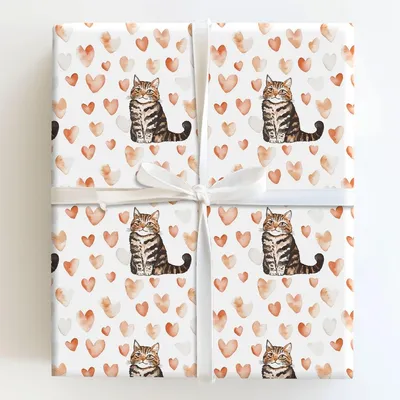 American Shorthair Valentine - Gift Wrap for Christmas, Holidays Wrapping Paper, Christmas Wrapping Paper