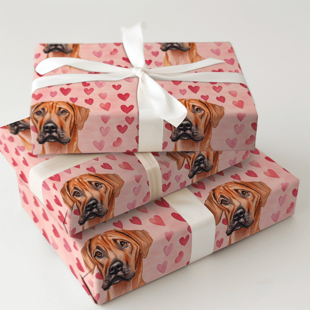 Product 5