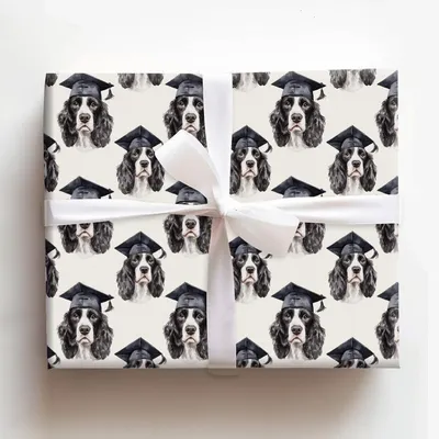 Springer Spaniel Graduate - Gift Wrap for Christmas, Holidays Wrapping Paper, Christmas Wrapping Paper