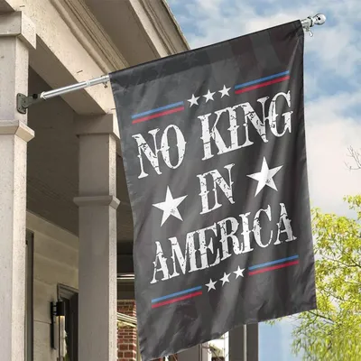 Vintage No Kings In America Anti Trump Protect Democracy Resist Hate Flag Vertical House Flag