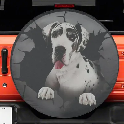 White Great Dane Dog Cracked Spare Tire Cover , Great Dane On Crack Hole Wheel Covers Spare Tire Cover