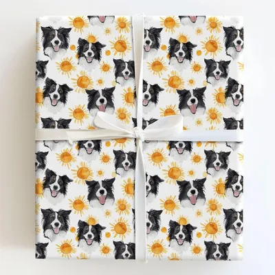 Sunny Day with the Border Collies - Gift Wrap for Christmas, Holidays Wrapping Paper, Christmas Wrapping Paper