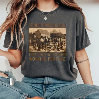 Stereotyped As Lazy Black History Month T-Shirt Black History African American T-Shirt African Black Pride