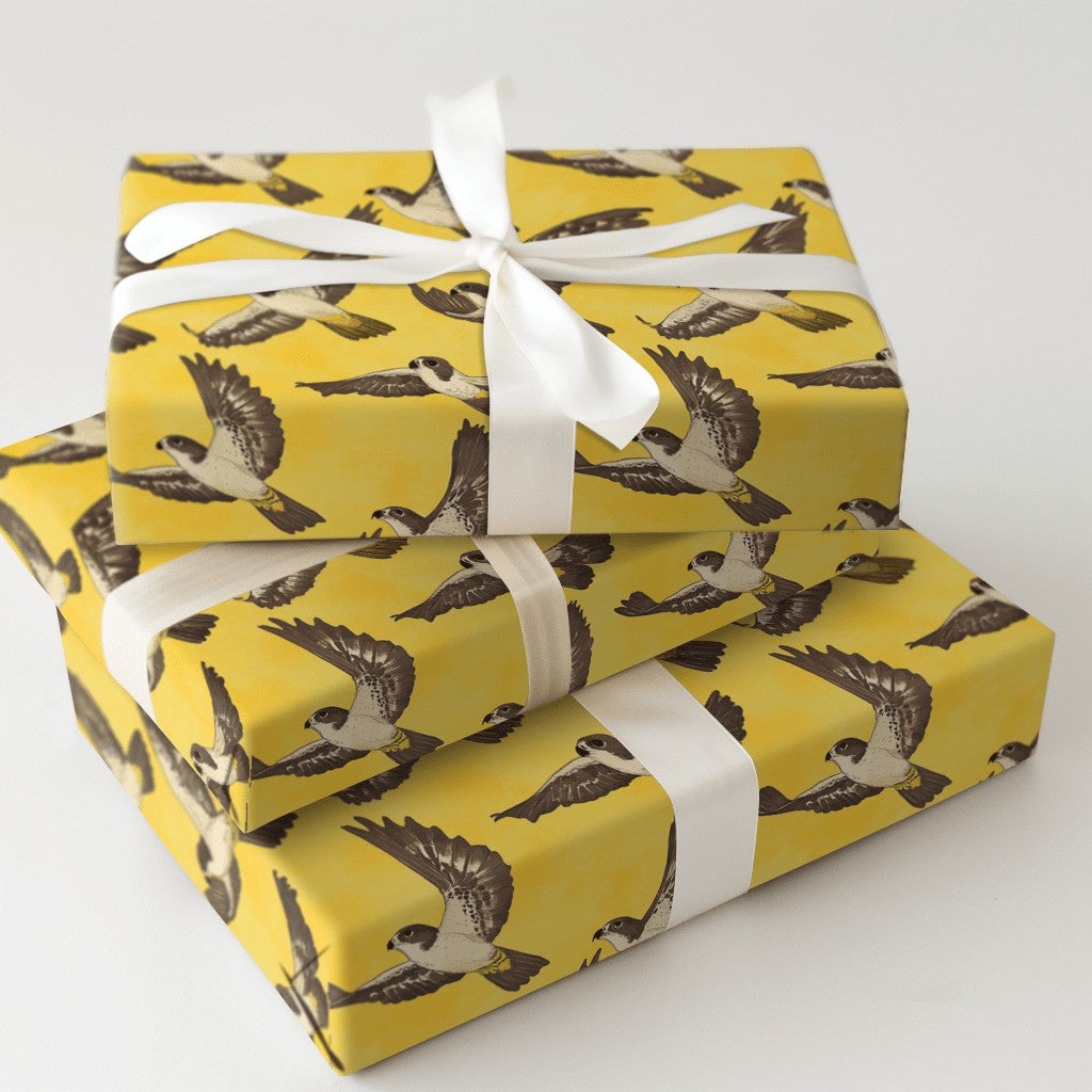 Product 5