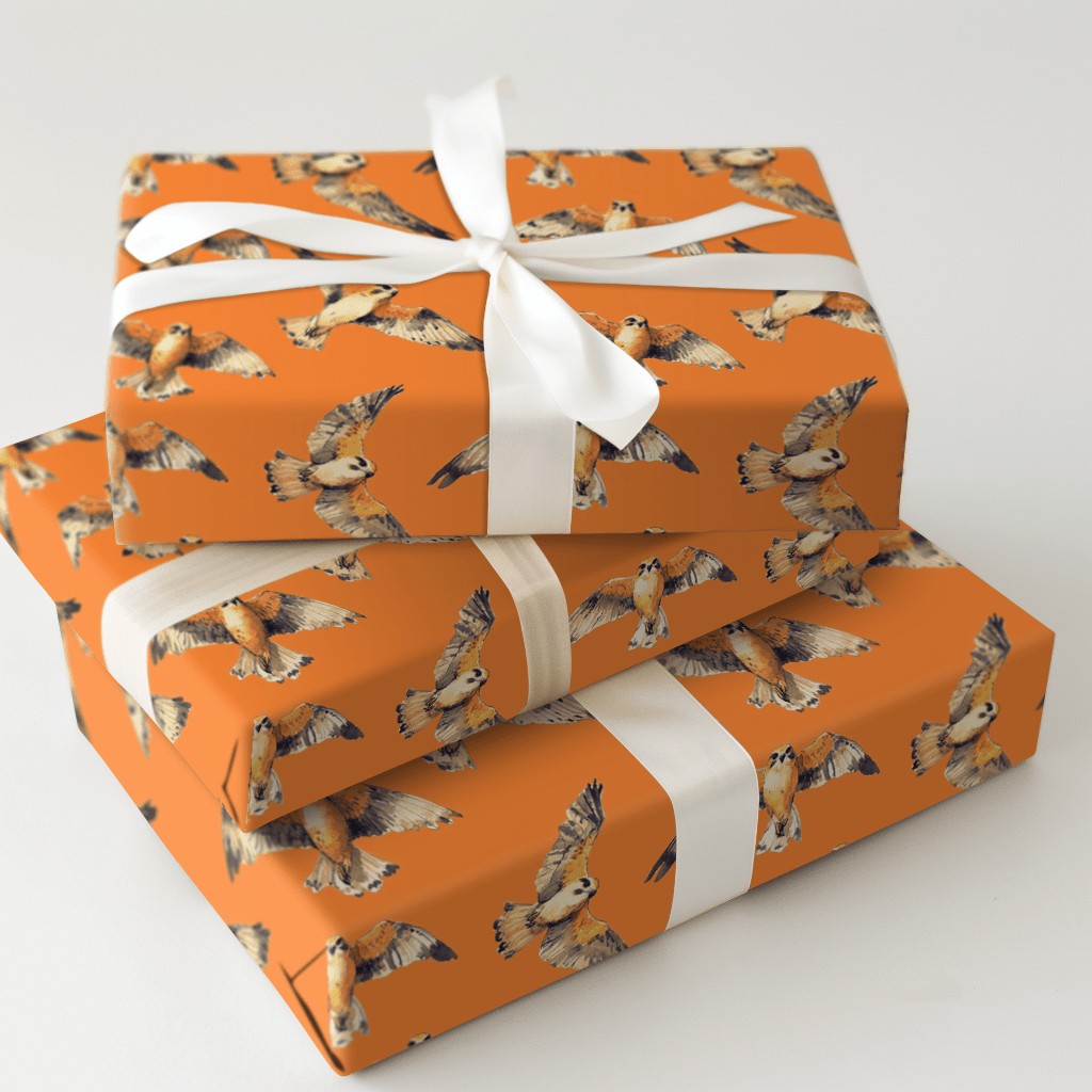 Product 5