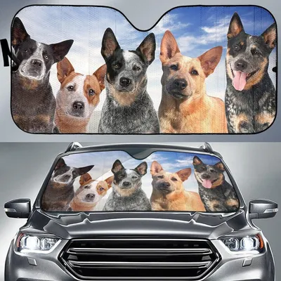 Red And Blue Australian Cattle Dogs Printed Car Sun Shade Cover Auto Windshield PrintSyde