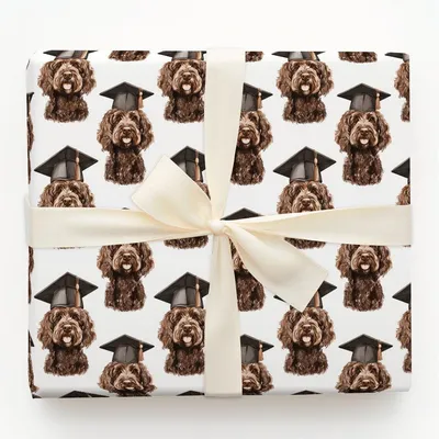 Brown Doodle Graduate - Gift Wrap for Christmas, Holidays Wrapping Paper, Christmas Wrapping Paper
