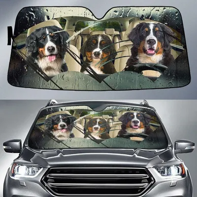Bernese Mountain Dog Rainy Driving Car Sun Shade Cover Auto Windshield PrintSyde