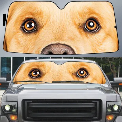 Cute Golden Retriever's Eyes Beautiful Dog Eyes Car Sun Shade Cover Auto Windshield
