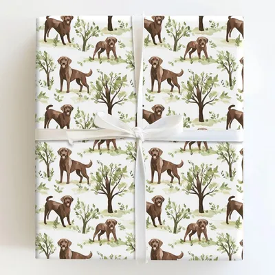 Park Day with the Brown Lab - Gift Wrap for Christmas, Holidays Wrapping Paper, Christmas Wrapping Paper