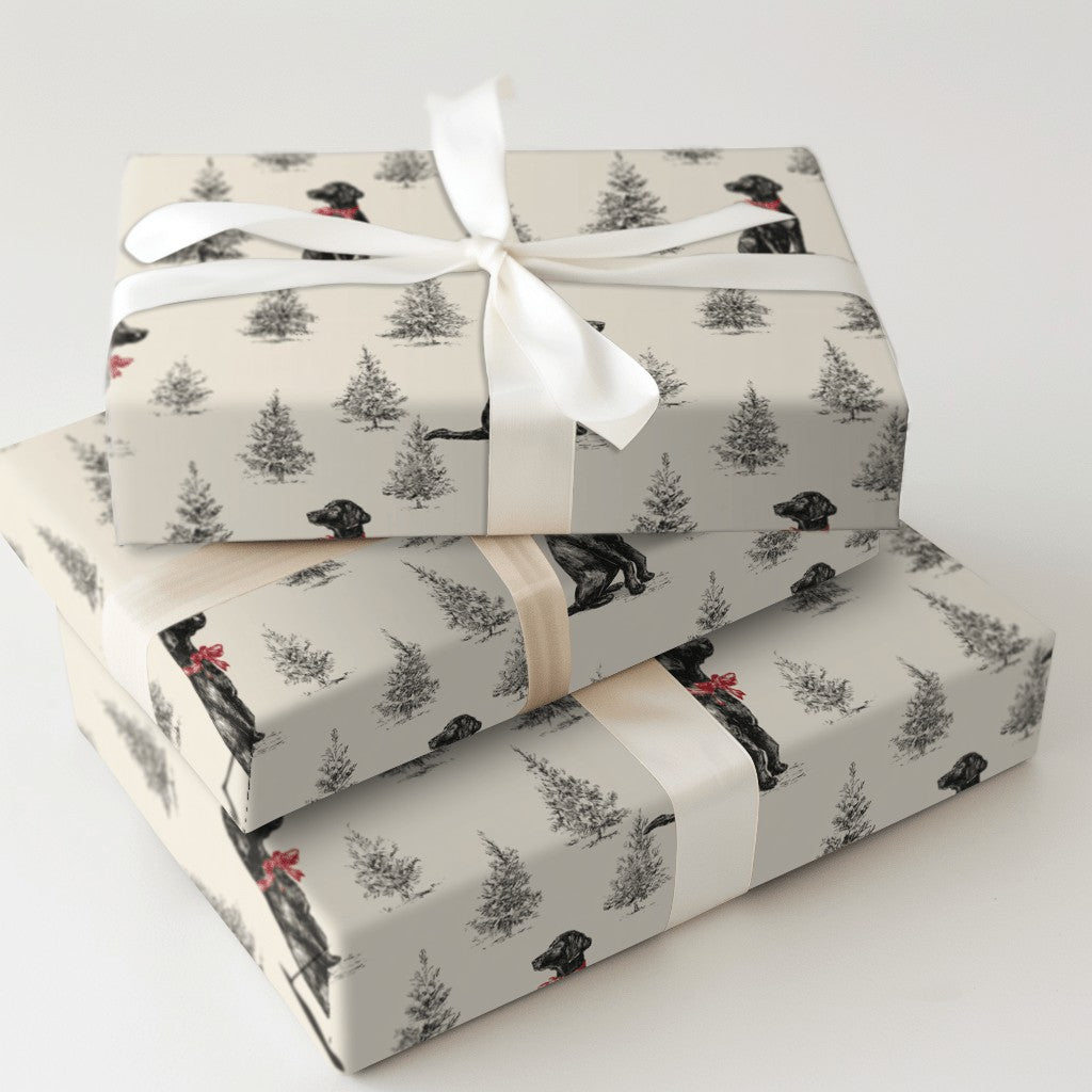 Product 7