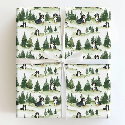 Park Day with the Bernese Mountain Dog - Gift Wrap for Christmas, Holidays Wrapping Paper, Christmas Wrapping Paper
