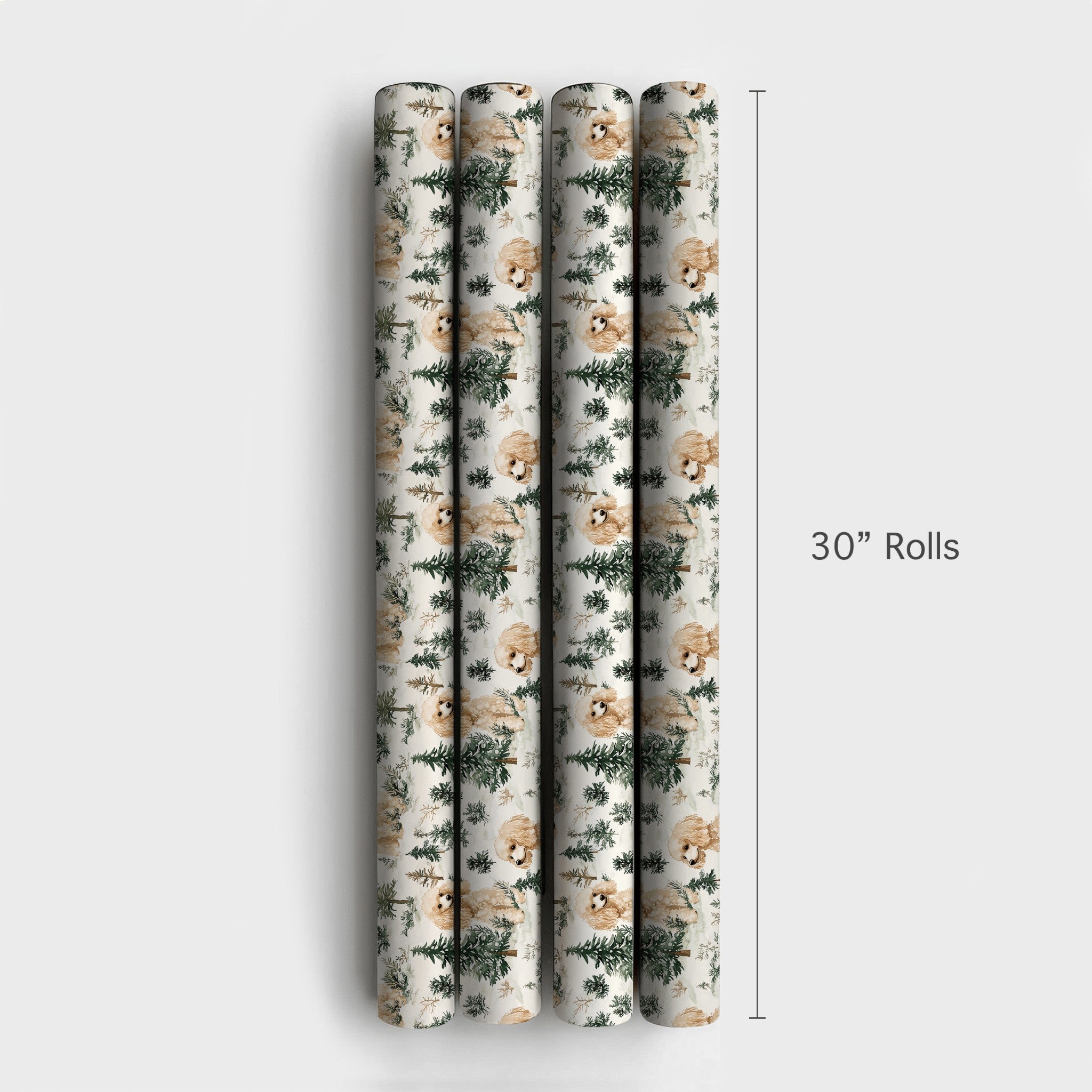 Product 6