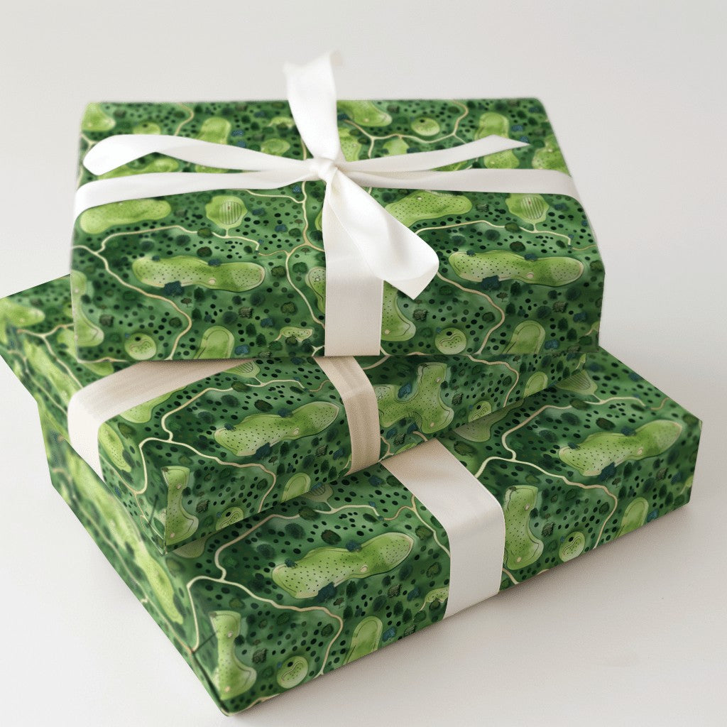 Product 5
