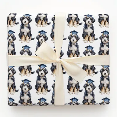 Furst in Class - Gift Wrap for Christmas, Holidays Wrapping Paper, Christmas Wrapping Paper