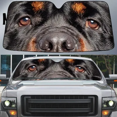 Rottweiler's Eyes Beautiful Dog Eyes Car Sun Shade Cover Auto Windshield Protector